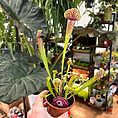 img_9459
