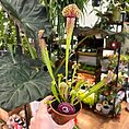 img_9460