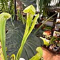 img_9463