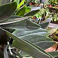 img_9663