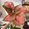 img_9673