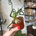 img_9705