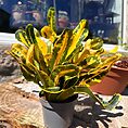 img_9893
