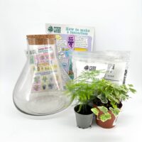 Lab Flask Terrarium Starter Kit DIY ALL you need to make own bio active ecosystem