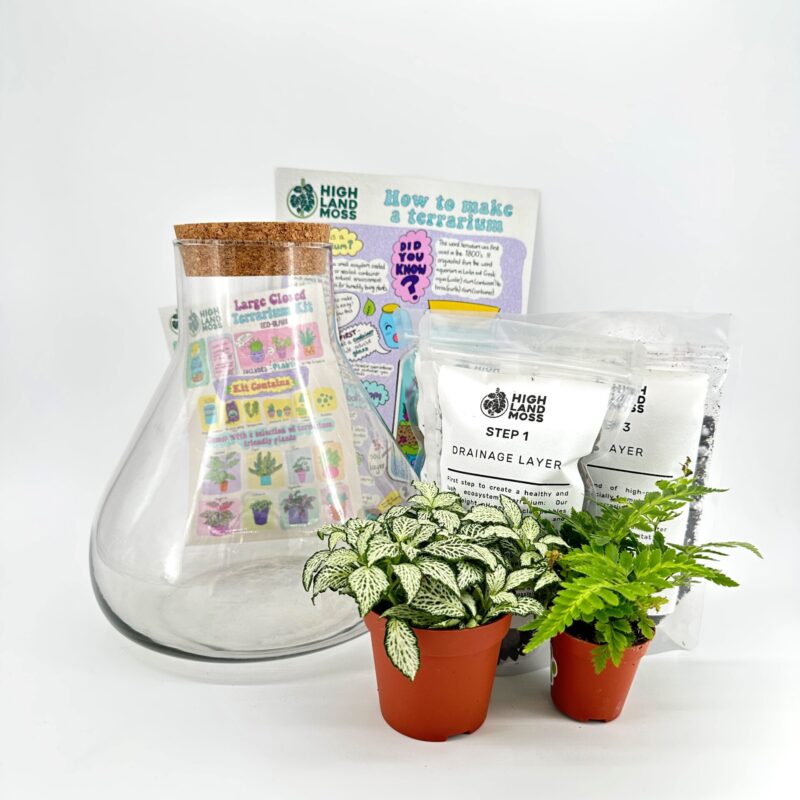 Lab Flask Terrarium Starter Kit DIY ALL you need to make own bio active ecosystem Lab Flask Terrarium Starter Kit DIY ALL you need to make own bio active ecosystem