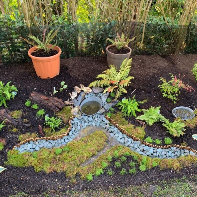 Review of Fresh Live Sheet Carpet Moss by Chris Dudley Moss garden