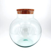 Stylish glass jar with cork lid for storage, decor, or plant display in modern interiors.