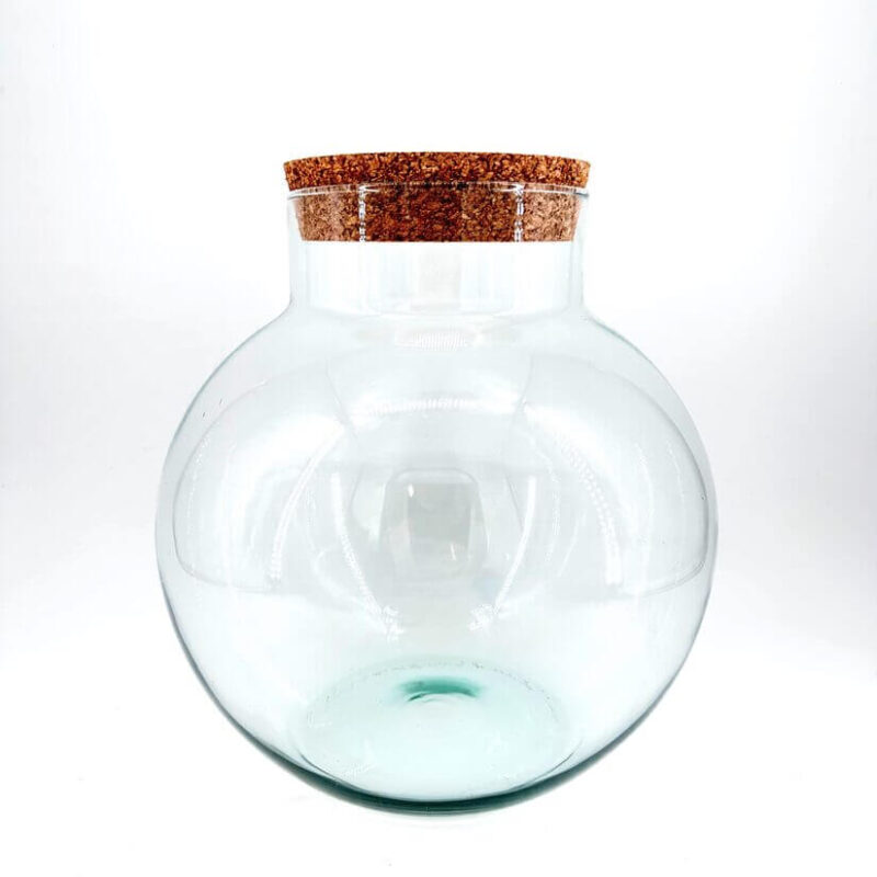 Elegant Glass Jar with Cork Lid for Stylish Storage Stylish glass jar with cork lid for storage, decor, or plant display in modern interiors.