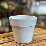 Classic Ceramic White Planter 10cm