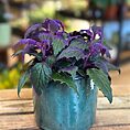 Classic Glazed Rustic Planter