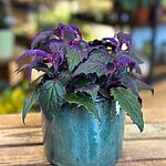 Classic Glazed Rustic Planter
