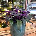 Classic Glazed Rustic Planter