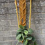 Handmade Macrame Plant Boho Wall Planter