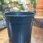 Nursery Pot Strong Plastic 12cm Black