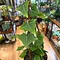 img_0953