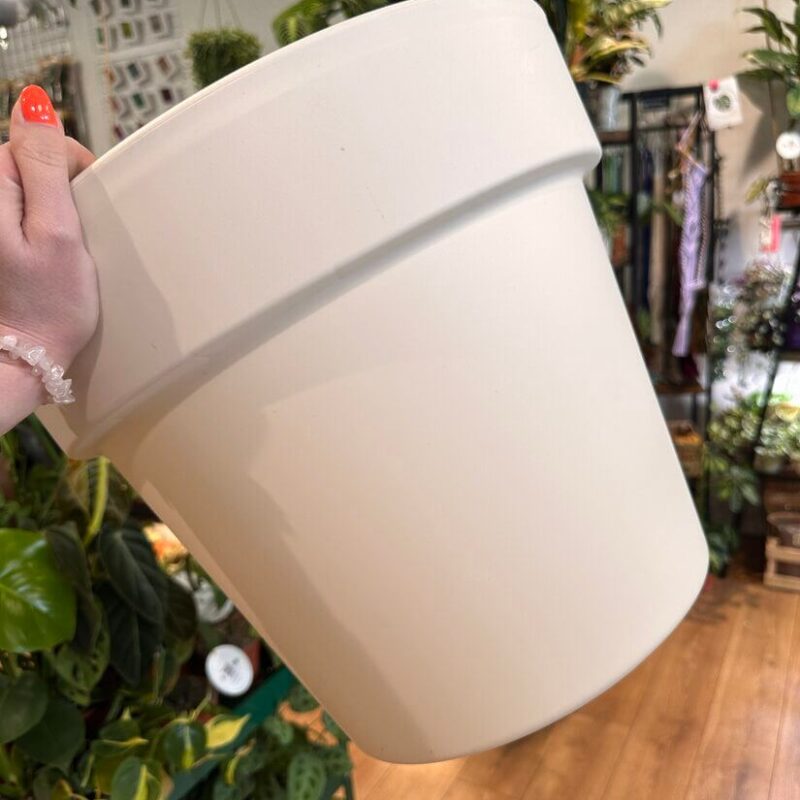 img_1079-1 img_1079-1