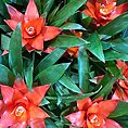 img_1506