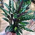 img_1574
