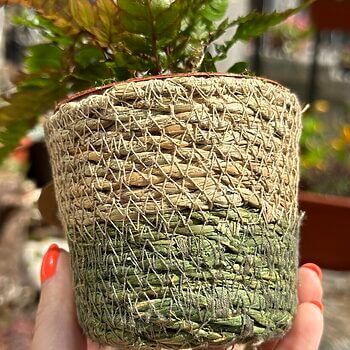 Handmade Seagrass Rustic Basket Planter 8cm pots Plant Accessories basket 2