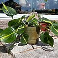 img_2675