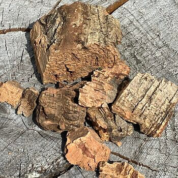 Natural Rustic Virgin Cork Bark For Terrarium 35g Decorations cork