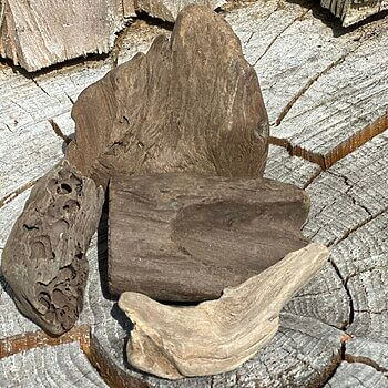 Natural Rustic Driftwood For Terrarium Art Craft Decorations driftwood 2