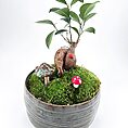 Bonsai arrangement with ceramic pot, lush foliage, mushrooms, and ladybug; a miniature natural scene.