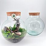 Round Closed Terrarium Glass Container Cork Lid
