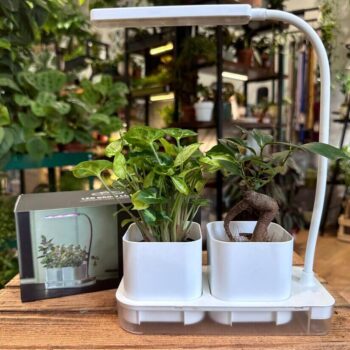 Mini Full Spectrum Grow Light