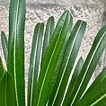 img_3746