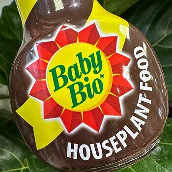 General Houseplant Food Baby Bio Plant Care