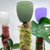 Dripcups for Moss Poles - keep moss fresh easily