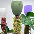 3 dripcups on moss poles