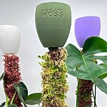 Dripcups for Moss Poles - keep moss fresh easily