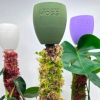 3 dripcups on moss poles