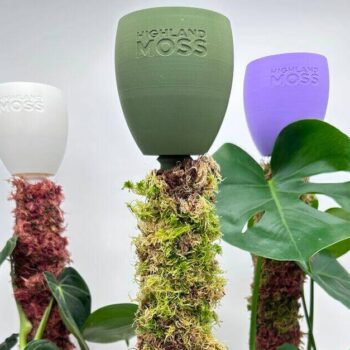 Dripcups for Moss Poles - keep moss fresh easily
