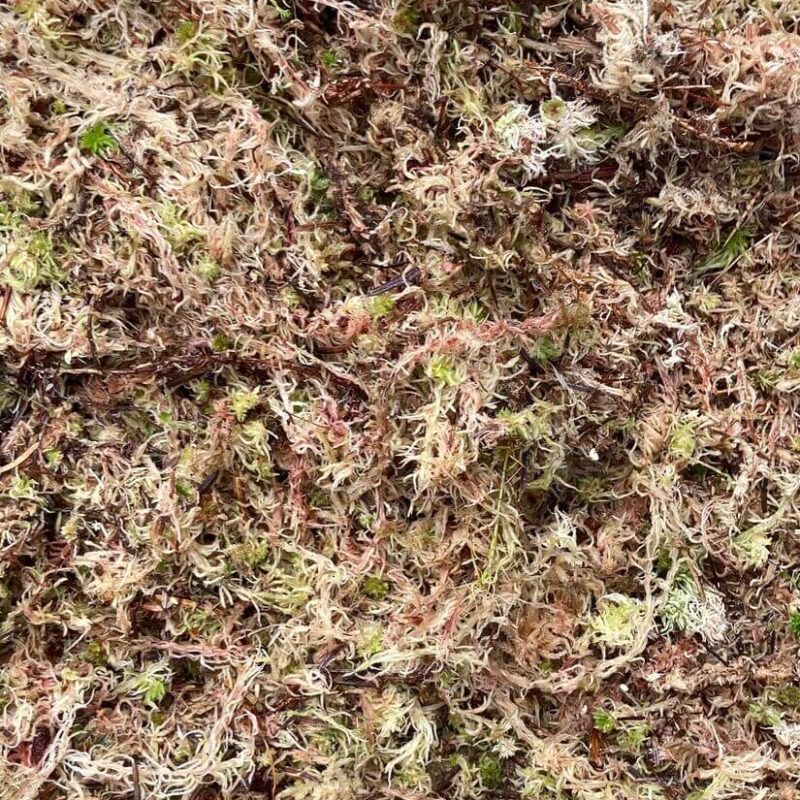 49fe7cf0-333a-4823-8b43-edf65c3e9e3f 49fe7cf0-333a-4823-8b43-edf65c3e9e3f