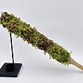 Green moss pole iroko alone