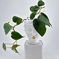Ceramic face planter with gold lips and lush green plant on minimalist base.