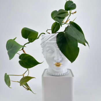 Ceramic face planter with gold lips and lush green plant on minimalist base.