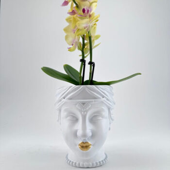 Elegant human face planter with gold accents holding vibrant yellow and purple orchid blooms.