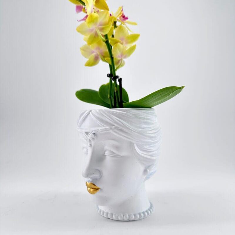 Queen White Head Planter Artistic human head planter with yellow orchids and lush green foliage.