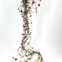 Hanging plant in white pot with cascading green and burgundy leaves.