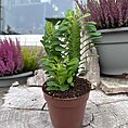 img_5153