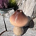 mushroom