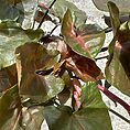 img_5660