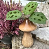 Glazed Mushroom Shape Vase Propagation Station