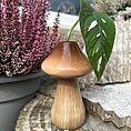 Glazed Mushroom Shape Vase Propagation Station