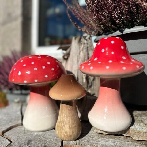 Glazed Mushroom Shape Vase Propagation Station