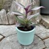 Glazed Pastel Blue Planter for 6cm pots